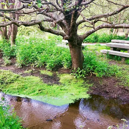 Jardin Privado Y Piscina A 100 M Playa Appartement Finisterre